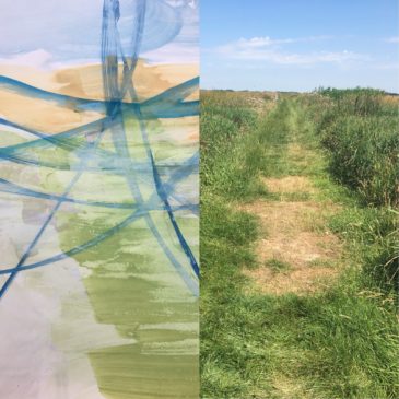 Kijken + Zien = Zomer in de polder